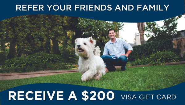 April  Post Install promo $599 - The adventure begins - mountain collar spaniel (7)