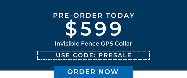 LTE COLLAR PRESALE 2024_Coupon Image (2)